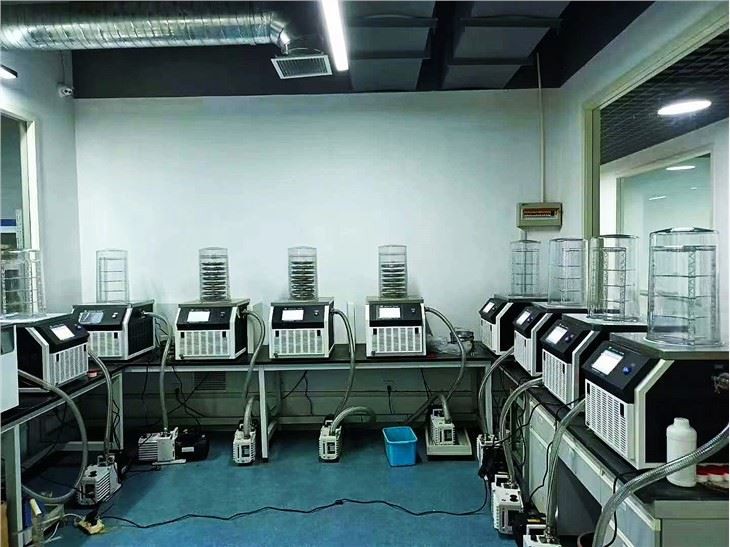 Batch freeze dryer
